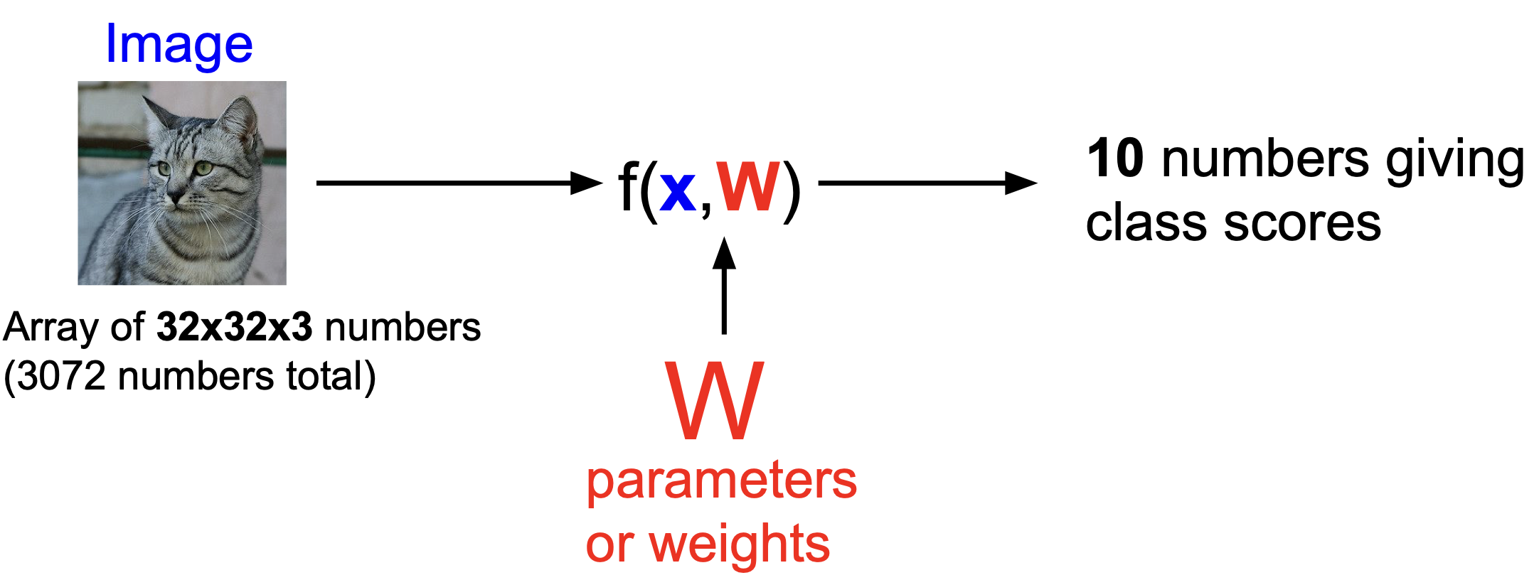 cat linear classification