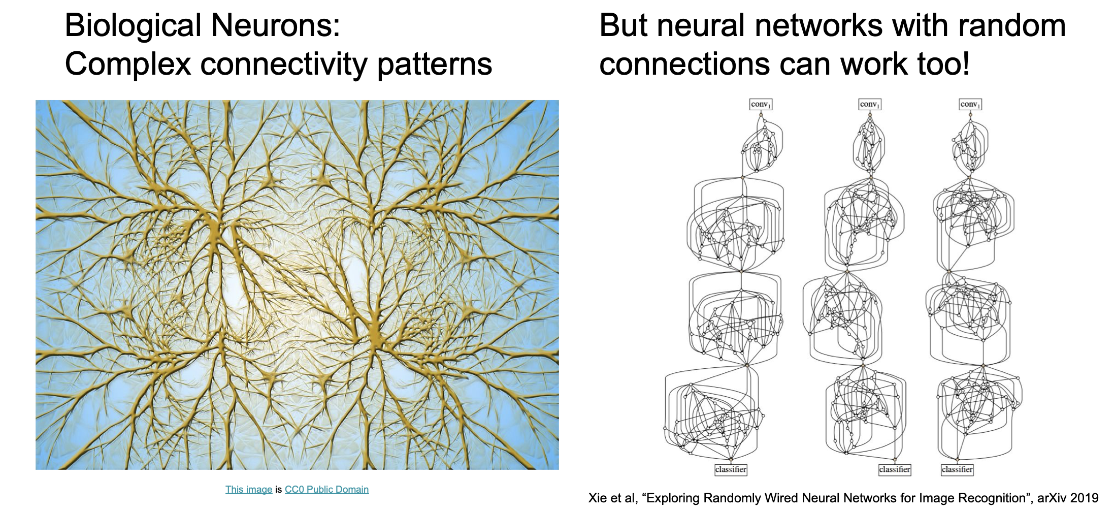 random connection NN