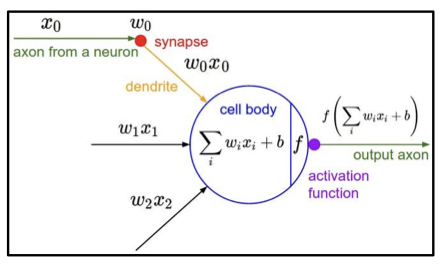 perceptron