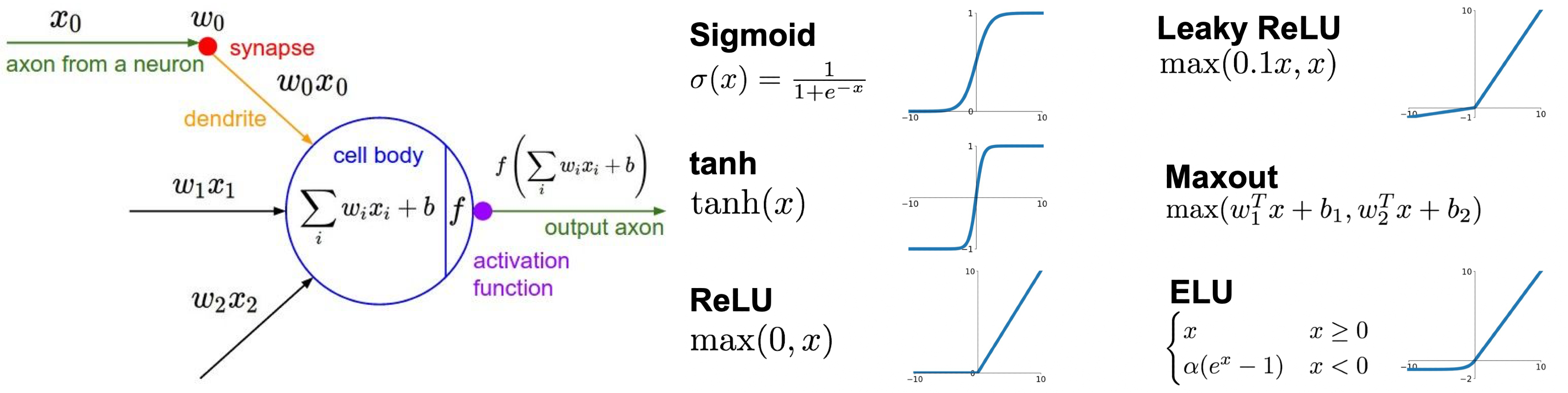 perceptron and activation functions