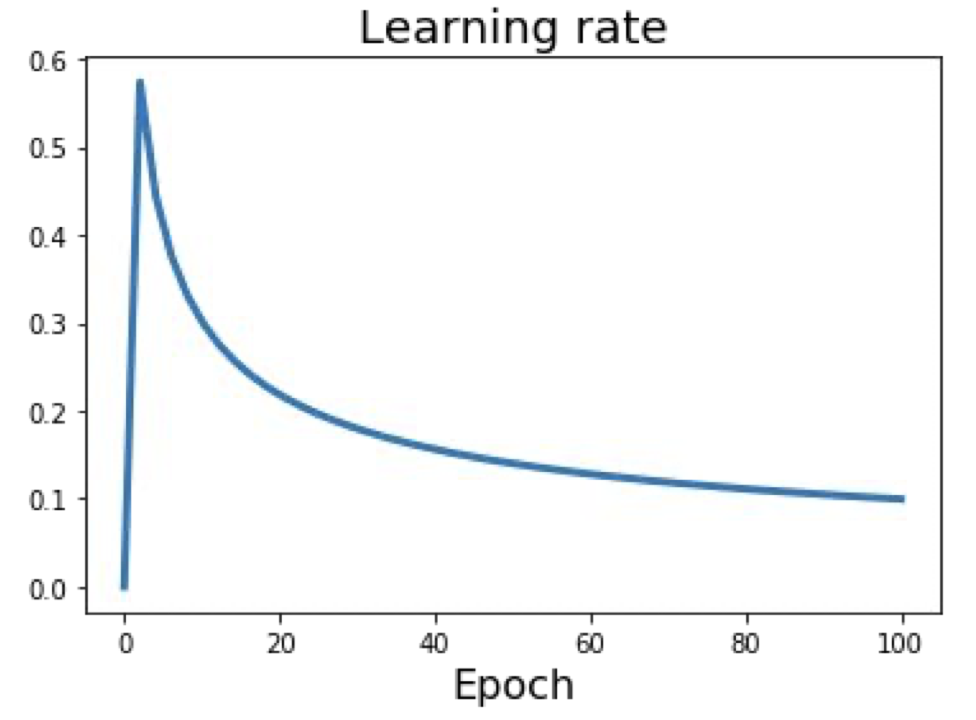 linear warmup learning rate decay