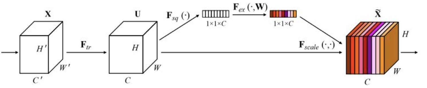 senet architecture