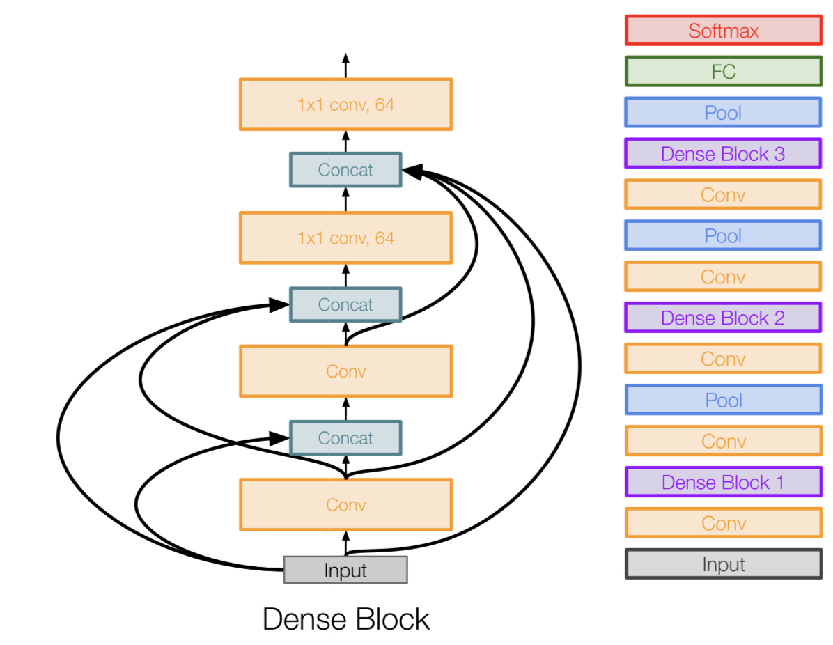 densely connected conv net