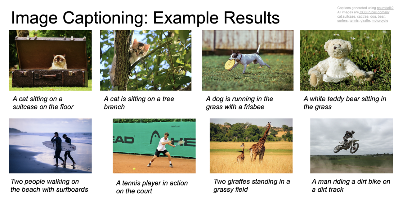 image captioning example result