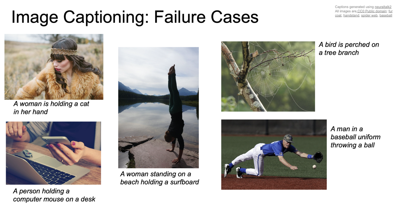 image captioning example failure