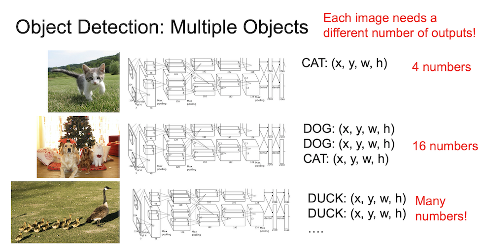 obejct detection multiple objects