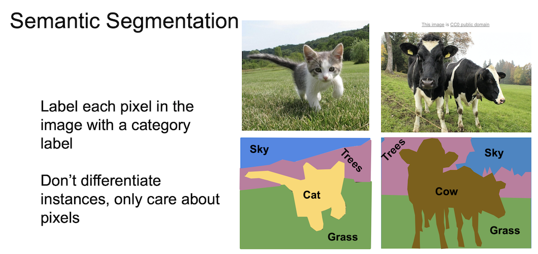 semantic segmentation