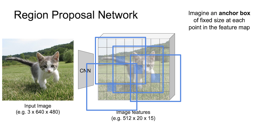 region proposal network