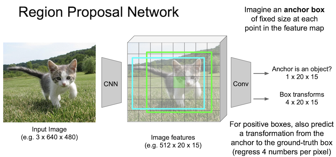 region proposal network