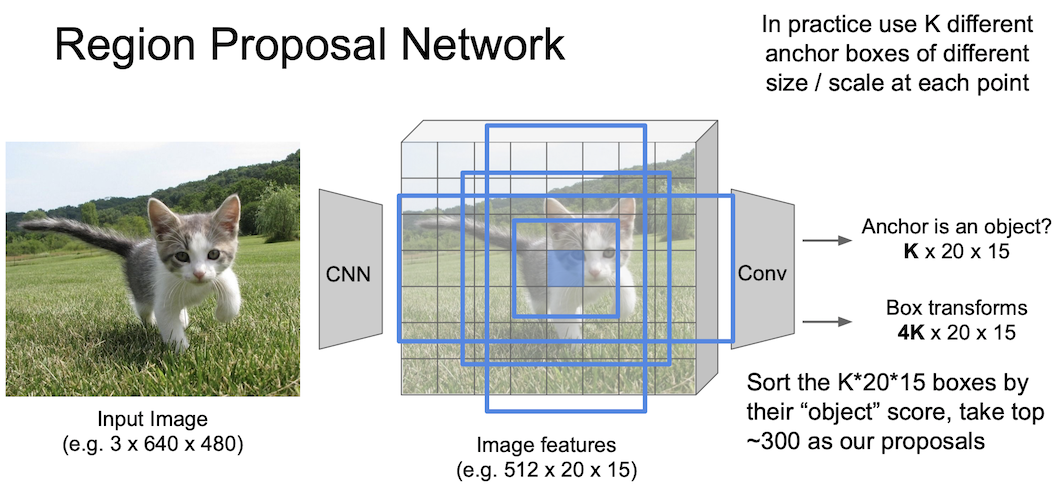 region proposal network