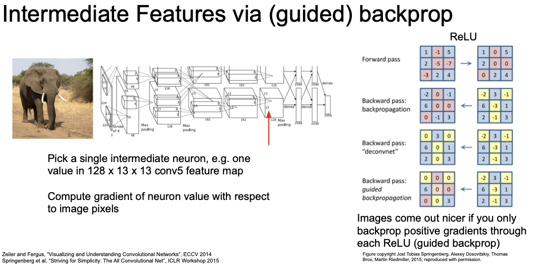 intermediate features via guided backprop