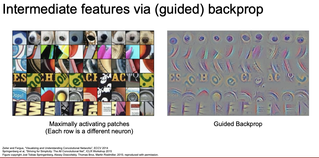 intermediate features via guided backprop