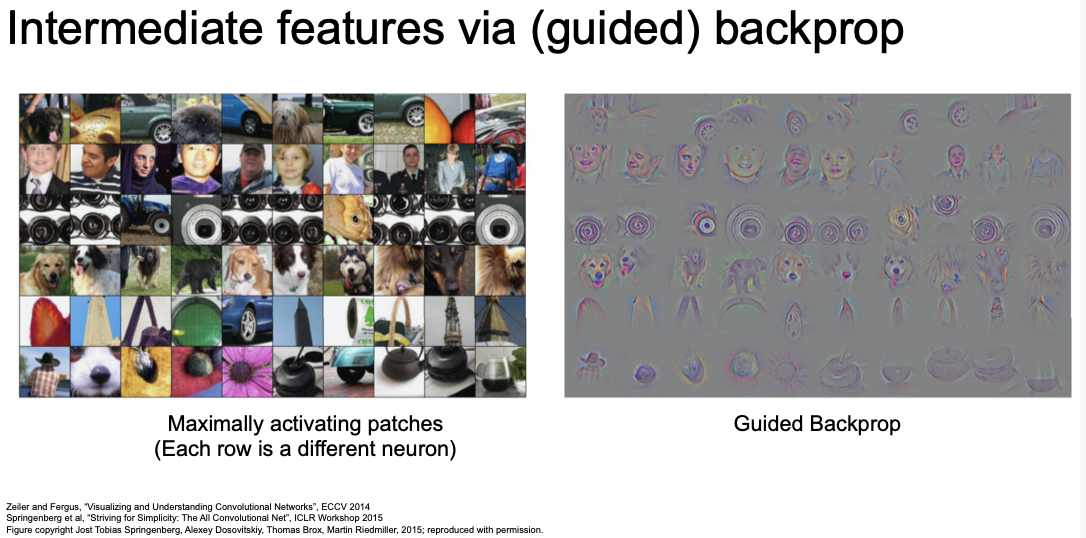 intermediate features via guided backprop