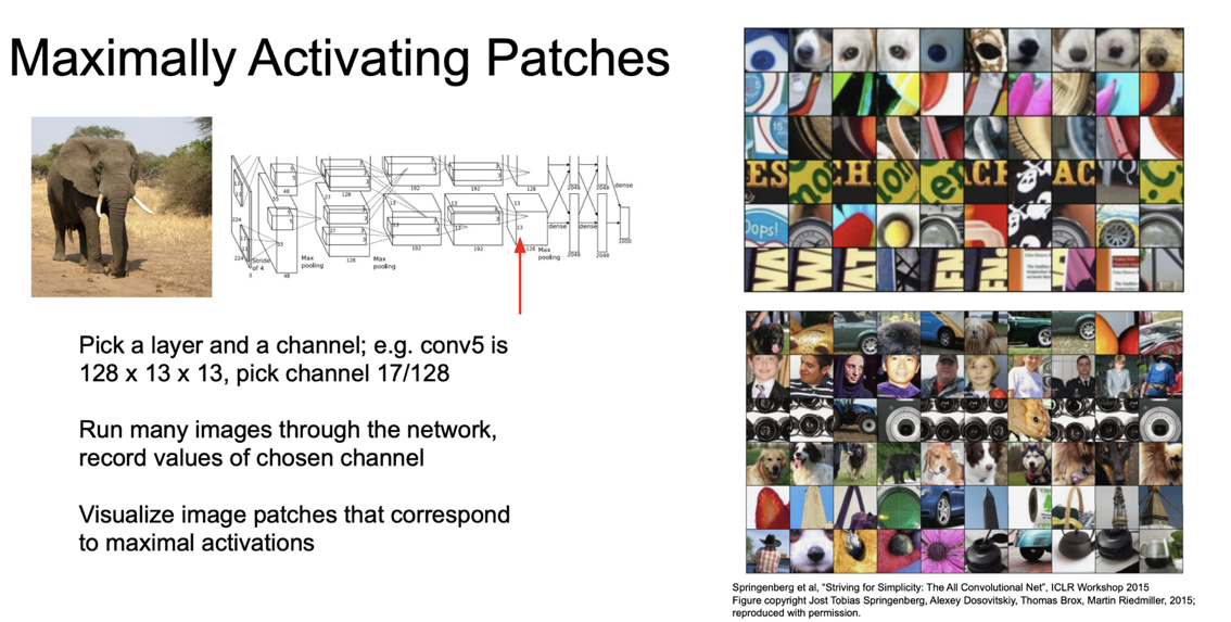 maximally ctivating patches