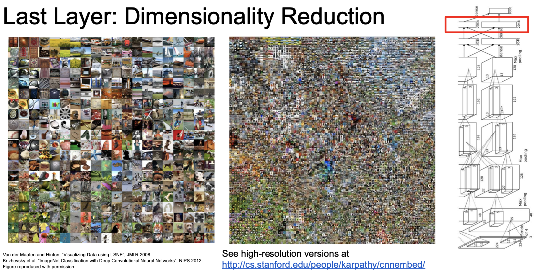 last layer dimensionality reduction