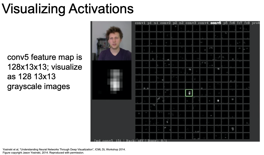 visualizing activations