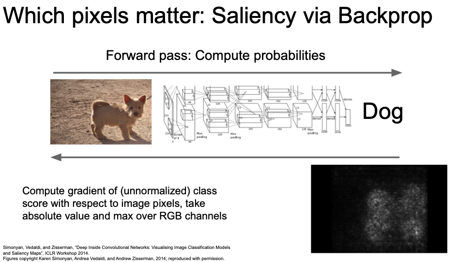 which pixels matter saliency via backprop