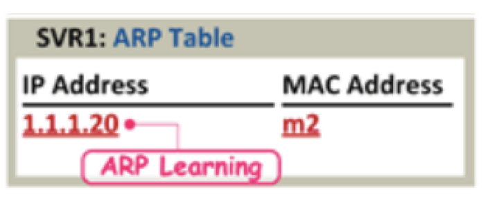 svr1 arp table