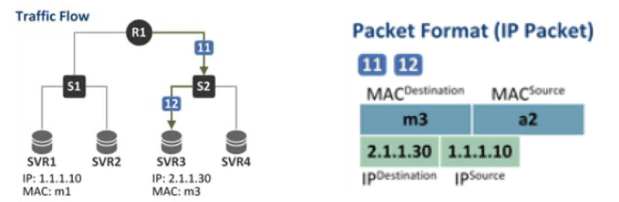 traffic flow packet format