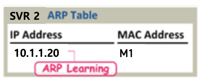 svr2 arp table