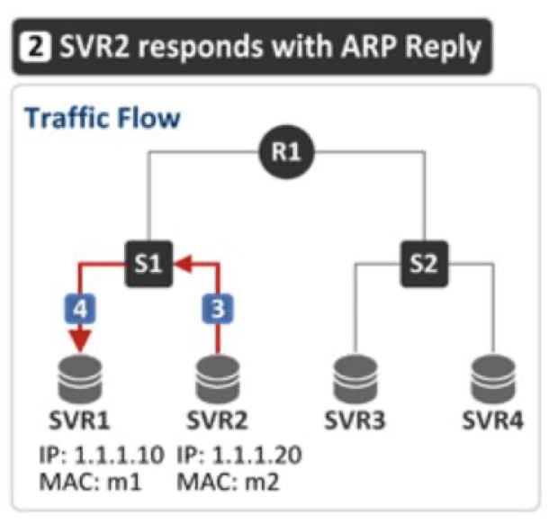 svr2 responds with arp reply